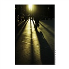 dailyPhoto20