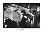 dailyPhoto4