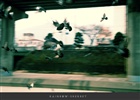 dailyPhoto11