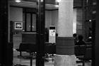 dailyPhoto9