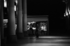 dailyPhoto4