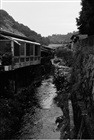 dailyPhoto37