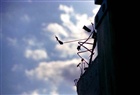 dailyPhoto37