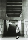 dailyPhoto9