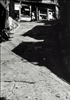 dailyPhoto40