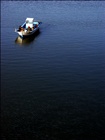 dailyPhoto3