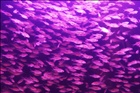 dailyPhoto23