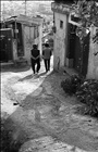 dailyPhoto7
