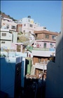 dailyPhoto35