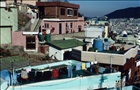dailyPhoto4