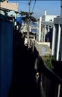 dailyPhoto19