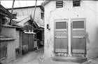 dailyPhoto4