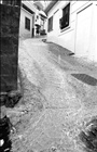 dailyPhoto10