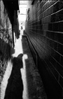 dailyPhoto34
