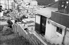 dailyPhoto4