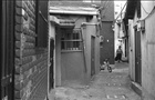 dailyPhoto4
