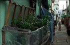 dailyPhoto3