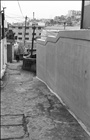 dailyPhoto3