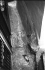 dailyPhoto17