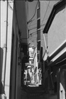 dailyPhoto29
