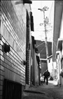 dailyPhoto23
