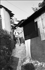 dailyPhoto14