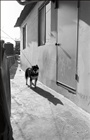 dailyPhoto9