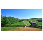 dailyPhoto4