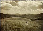dailyPhoto10