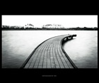 dailyPhoto20