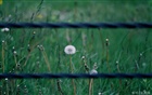 dailyPhoto32