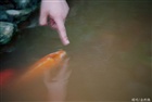dailyPhoto4