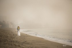 dailyPhoto16