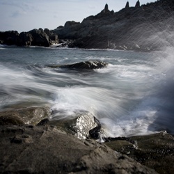 dailyPhoto1