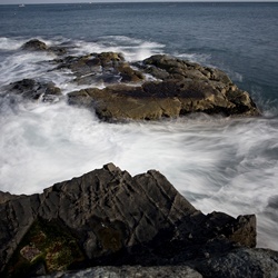 dailyPhoto8