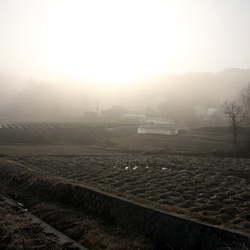 dailyPhoto1