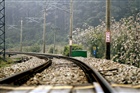 dailyPhoto11
