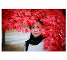 dailyPhoto9