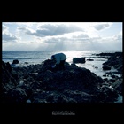 dailyPhoto8