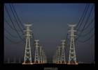 dailyPhoto6