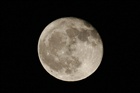 dailyPhoto19