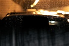 dailyPhoto19