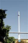 dailyPhoto36