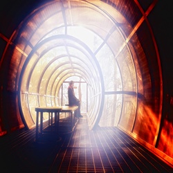 dailyPhoto17