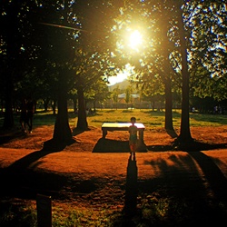 dailyPhoto13