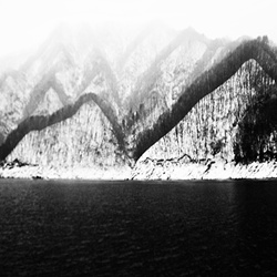 dailyPhoto40