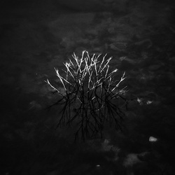 dailyPhoto32