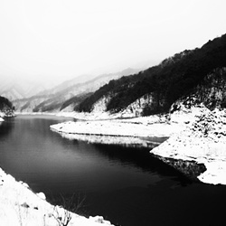 dailyPhoto36