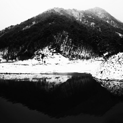 dailyPhoto7