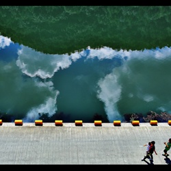 dailyPhoto20